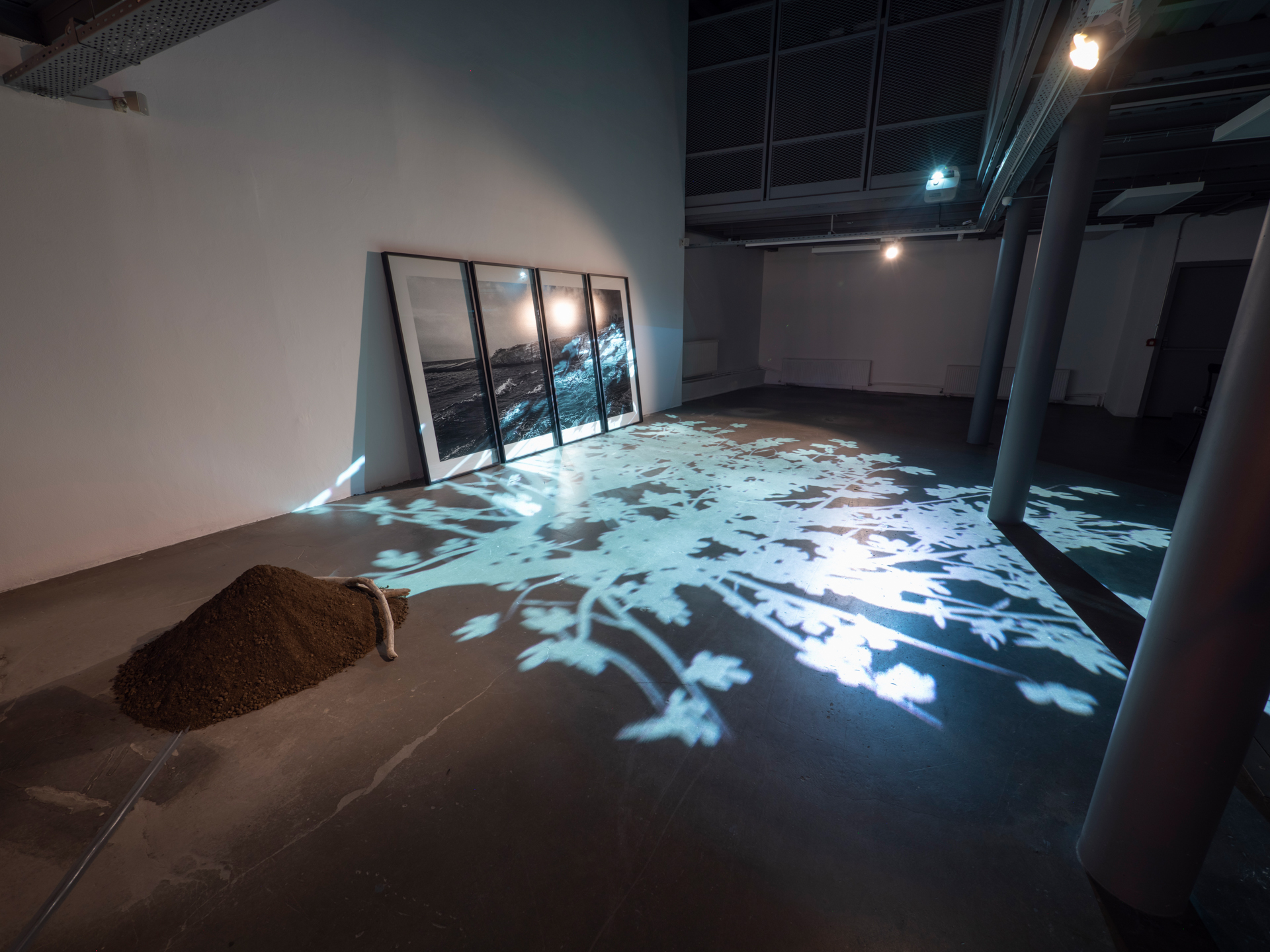 Begin To See Through The Darkness, 2020, Installation view, 180 x 90 cm (4 framed Images), Animation (30 min), soil, sound. 
Photo credit: Barış Özçetin