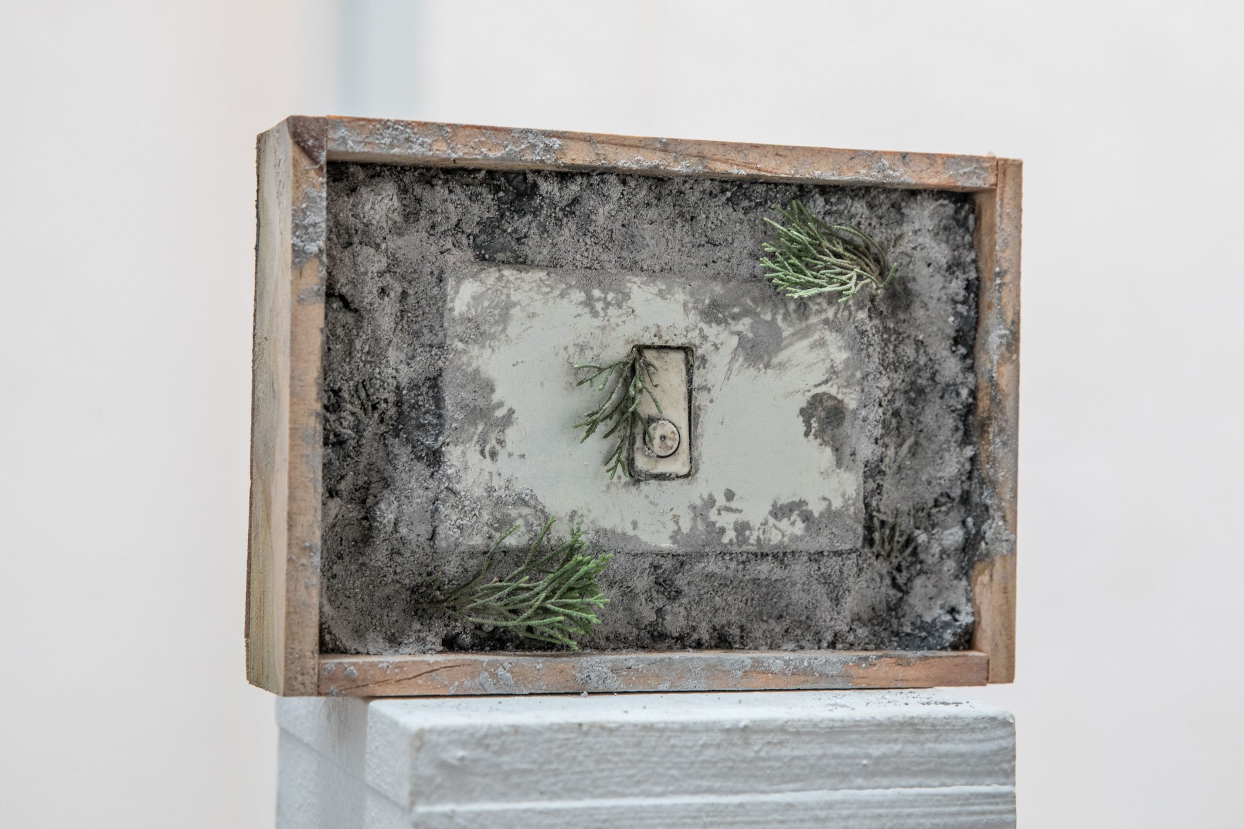 Power Switch, 2018, Ash, power switch, cypress tree leaves from St Elias hill, archivable white glue, and acrylic binder, acrylic varnish on wood, 13.8 x 19.4 x 4.5 cm. Photo by Vitor Schietti
