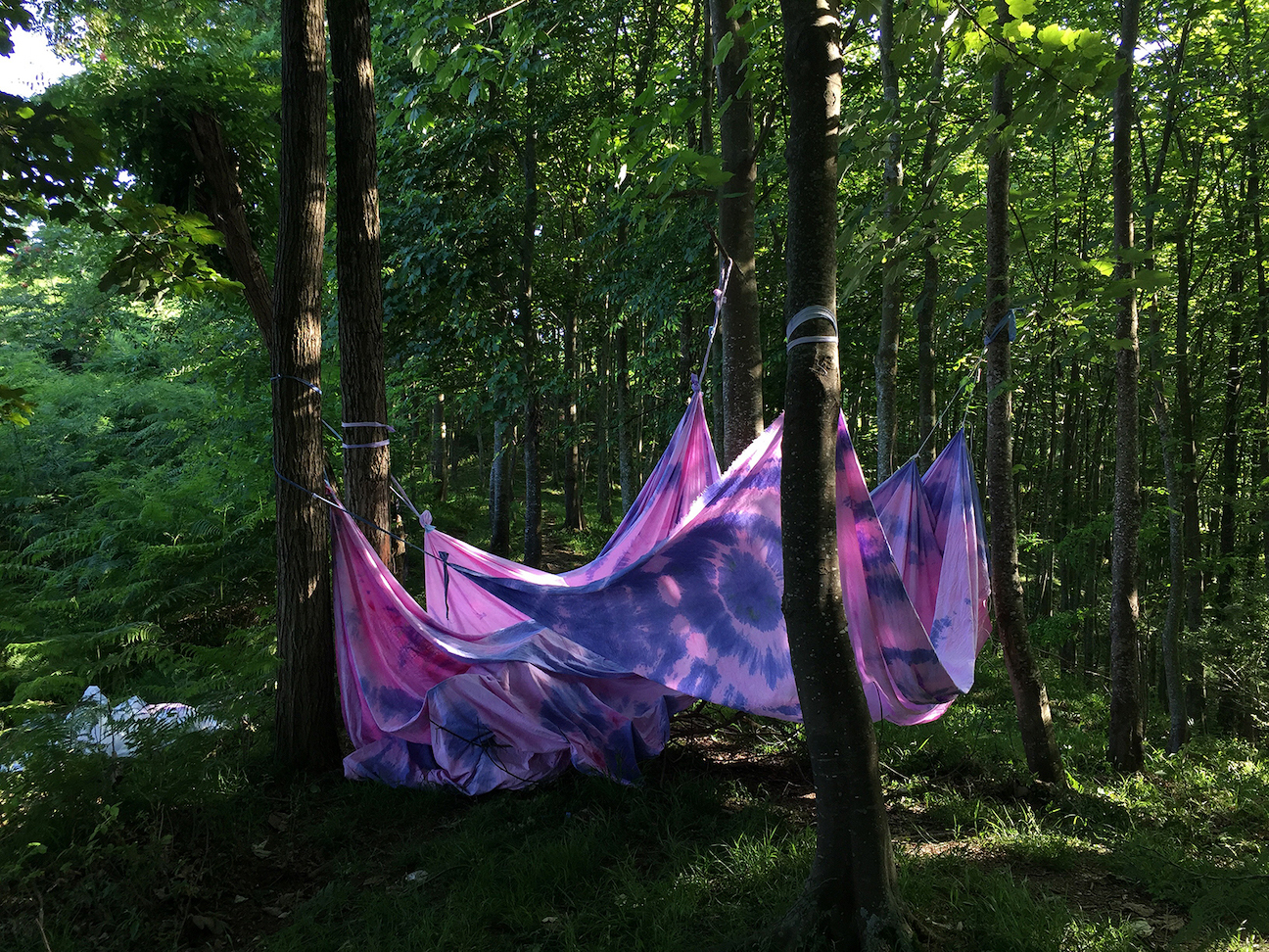 Becoming landscape in a landscape then disappearing, 2018, hand-dyed cotton cloth, site specific