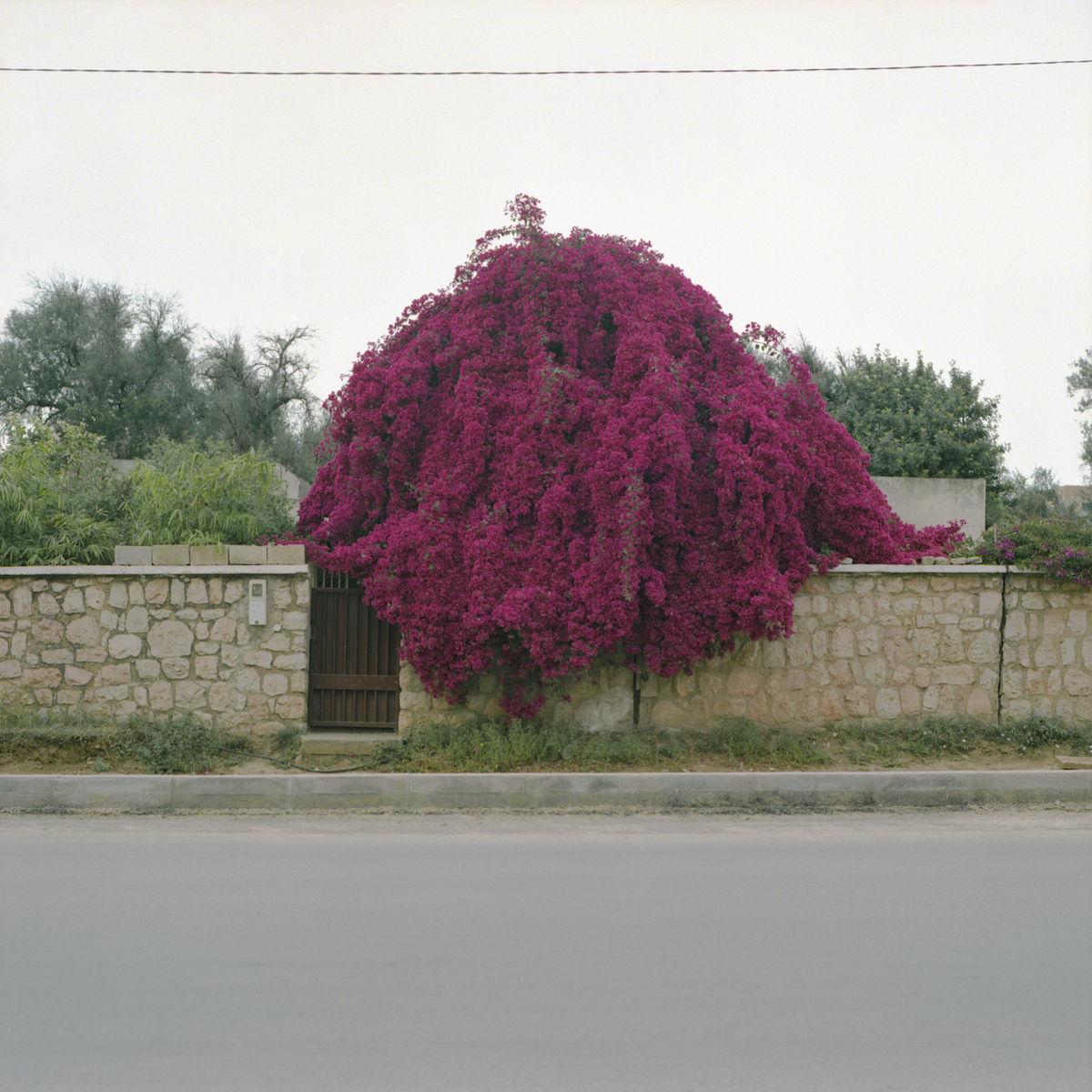 Ceux qui restent, 2015, Inkjet print from analog photographs, 90 x 90 cm